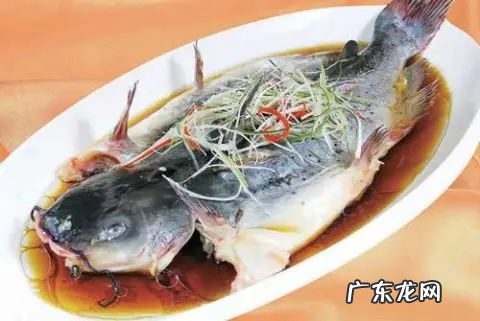 黄颡鱼怎么做好吃,黄辣丁怎么做好吃
