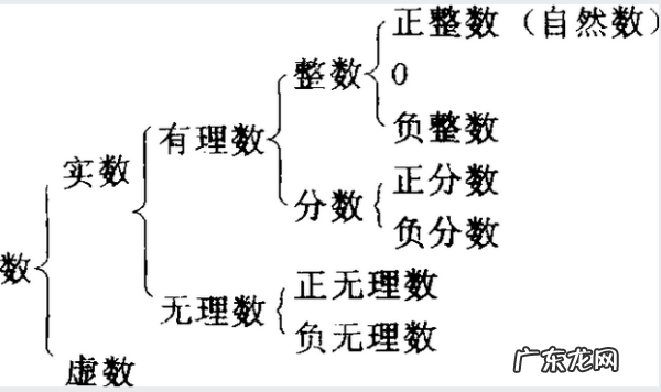 自然数的定义 自然数是指什么,什么是自然数定义简单
