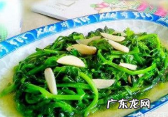 凉薯的叶子可以吃,凉薯热量高吃多会胖