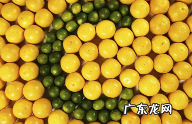 睡前吃猕猴桃的好处,一天中什么时候吃猕猴桃效果最好