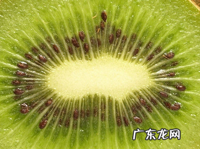 睡前吃猕猴桃的好处,一天中什么时候吃猕猴桃效果最好