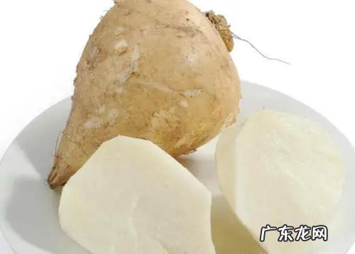 凉薯怎样储存能不烂,新鲜凉薯怎么保存不容易坏