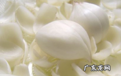 百合和哪些食物不能一起吃,百合和什么不能一起吃相克