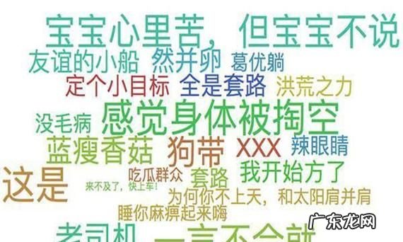 网络用语轮是什么意思,消息轮回是什么意思网络用语
