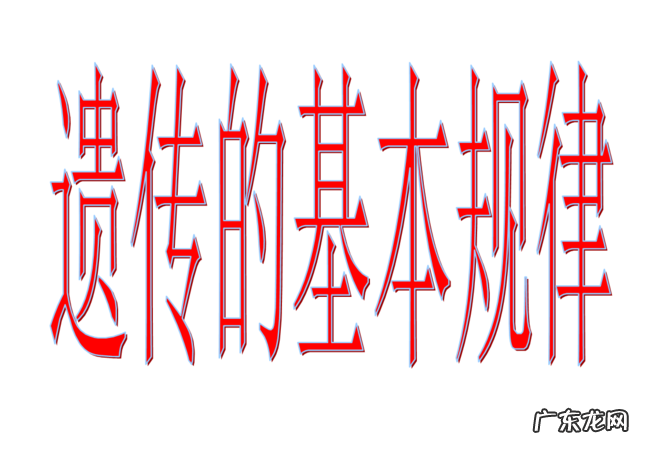 父本和母本的概念是什么,杂交的父本和母本有什么区别