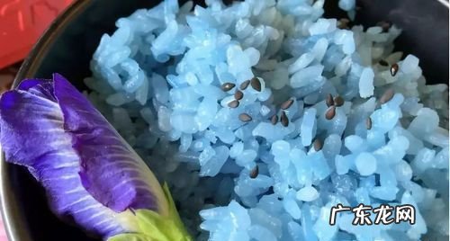 碟豆花是什么颜色,碟豆花是什么东西