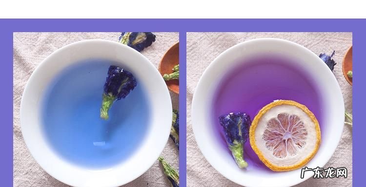 碟豆花是什么颜色,碟豆花是什么东西