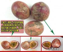 百香果瘪了还能吃,百香果里面的肉都干了怎么用还能吃不