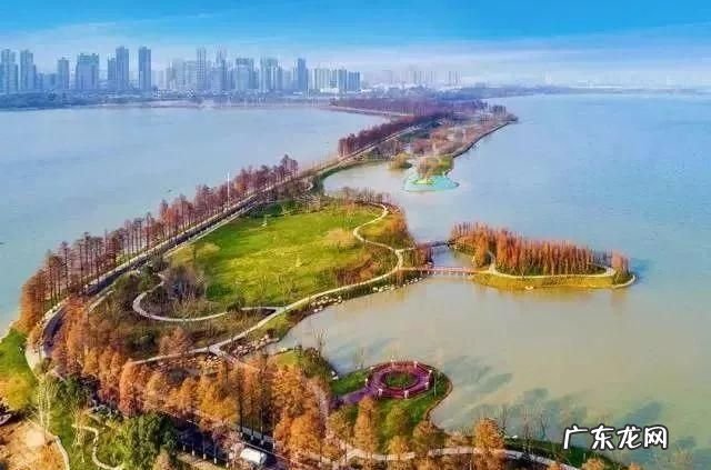 武汉东湖绿道全长多少平方千米,东湖绿道骑行最佳路线