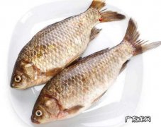 鱼冷冻后还有营养,常吃冷冻的馒头对身体有害