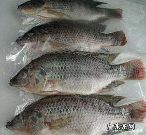 鱼冷冻后还有营养,常吃冷冻的馒头对身体有害