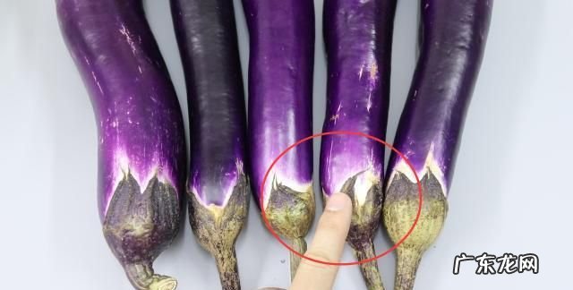 茄子的表面外形特点是什么,茄子的形状和表面是什么样子