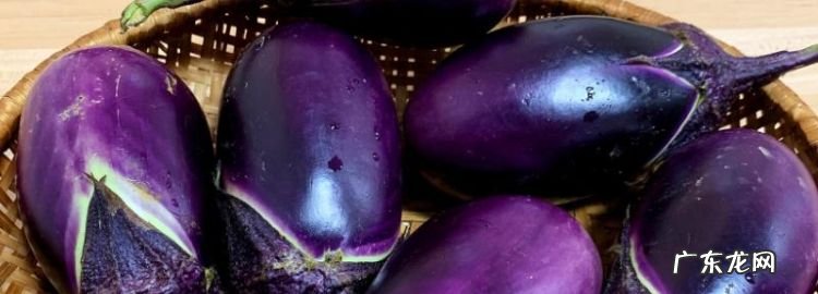 茄子的表面外形特点是什么,茄子的形状和表面是什么样子