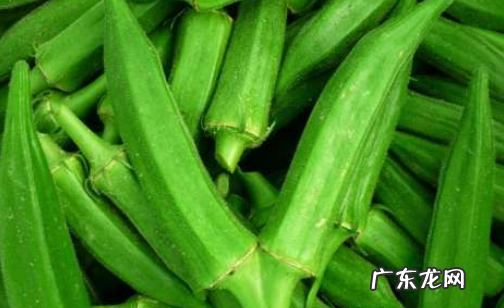 秋葵放冰箱冷藏多久,秋葵放冰箱发黑了还能吃