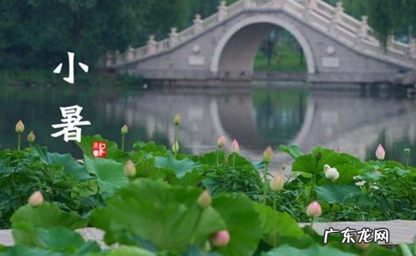 小暑三候是什么,小暑节气的由来 小暑三候指的是什么意思