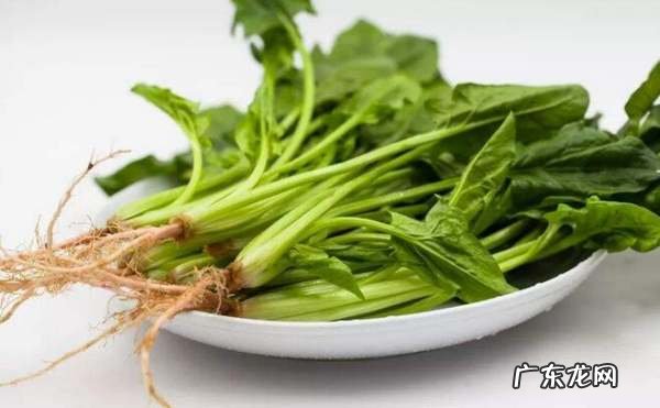 菠菜根是甜的能吃,菠菜根为什么是红的