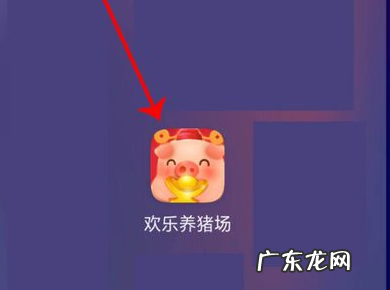 欢乐养猪场能提现吗?,《开心养猪场》提现方法介绍
