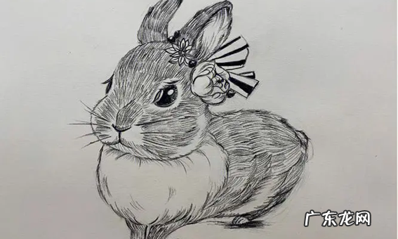 画画三大面和五大调子是什么,素描的三大面五大调子指的是什么