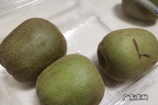 猕猴桃如何快速变软,猕猴桃怎么快速变软变甜