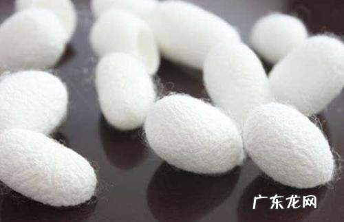 桑蚕丝衣服退色了如何恢复,70棉30桑蚕丝的衣物