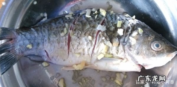 鲫鱼汤怎么去腥味,做鲫鱼汤的时候料酒什么时候放