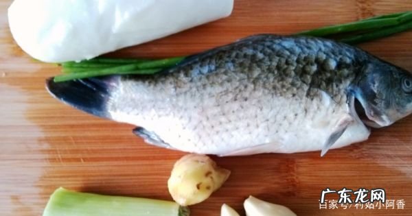 鲫鱼汤怎么去腥味,做鲫鱼汤的时候料酒什么时候放