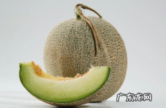 哈密瓜为什么会苦,哈密瓜非常苦是怎么回事