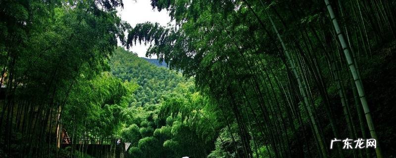 宜兴市景点 宜兴市景点大全