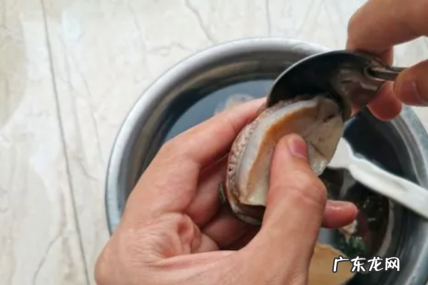 鲍鱼怎样洗才算干净,鲍鱼怎么清洗干净 鲍鱼怎么清洗才干净