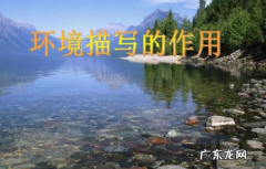 小学环境描写的作用,环境描写的作用