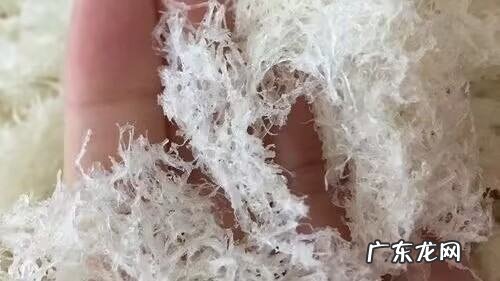 如何区分燕窝真假,怎么辨别燕窝的真假好坏
