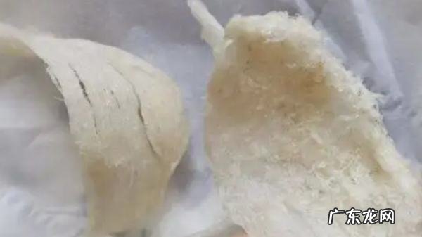 如何区分燕窝真假,怎么辨别燕窝的真假好坏