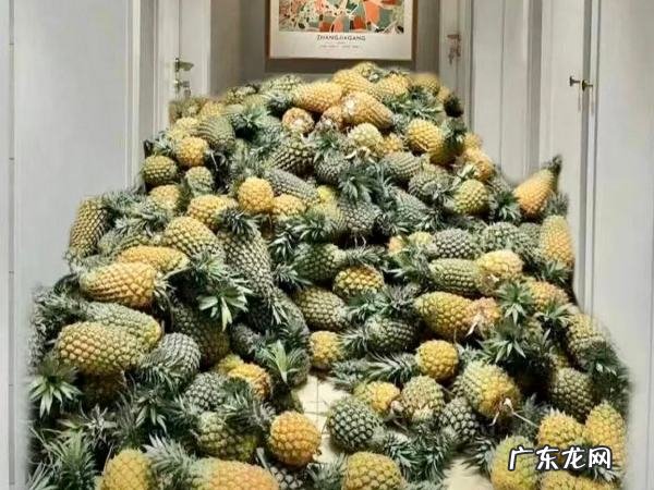 菠萝除甲醛有效果,菠萝可以去除甲醛