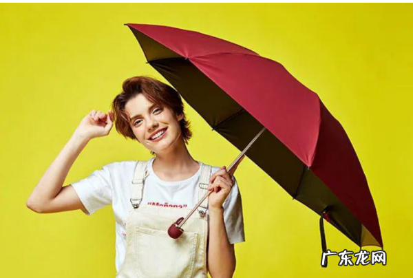 伞发霉了怎么洗掉,雨伞上面的霉菌怎么去除