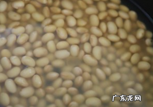 百合可以打豆浆,打豆浆可以放一些什么辅助料