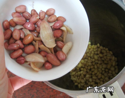百合可以打豆浆,打豆浆可以放一些什么辅助料