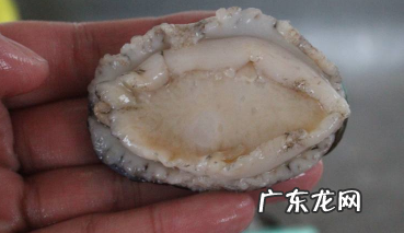 鲍鱼要炖多久才烂,新鲜鲍鱼怎么煮又嫩又好吃