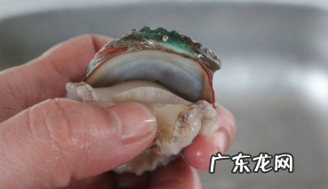 鲍鱼要炖多久才烂,新鲜鲍鱼怎么煮又嫩又好吃