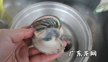 鲍鱼要炖多久才烂,新鲜鲍鱼怎么煮又嫩又好吃