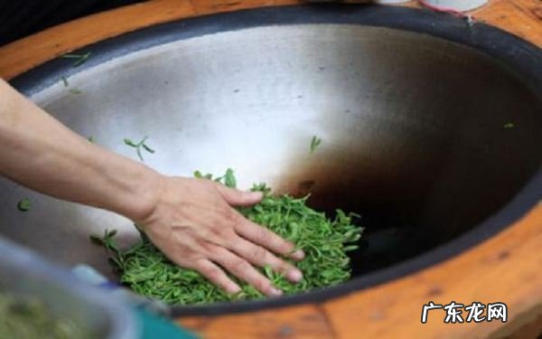 中国十大名茶是什么,中国十大名茶是哪十种