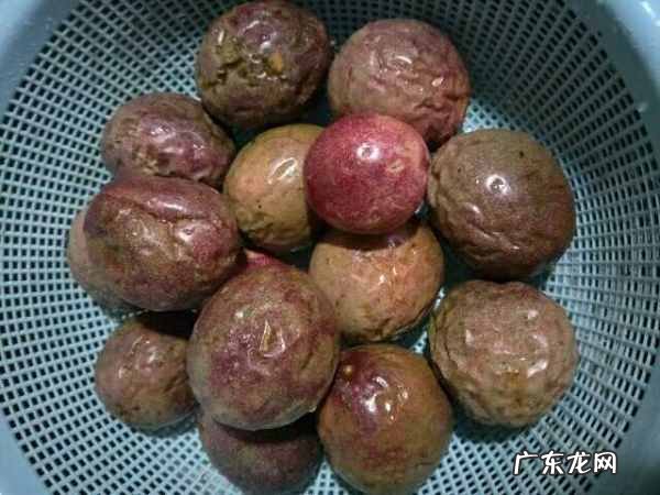 百香果外皮能吃吗,百香果的外壳可以吃怎么吃