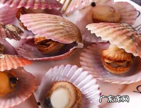 扇贝蒸多长时间,扇贝蒸几分钟能熟