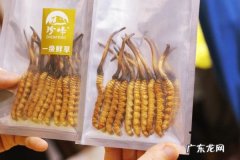 虫草发霉了怎么处理,虫草发霉了怎么处理干净