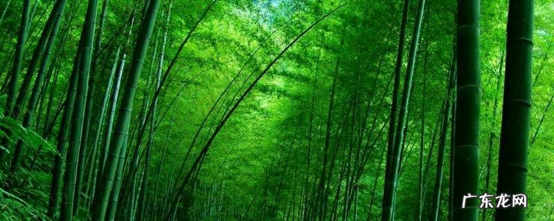 宜宾县景点 宜宾市主要景点