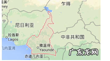 cameroon是哪个国家,巴西国家和喀麦隆国家关系怎样了