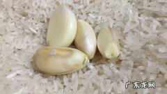 大米是粗粮,大米是粗粮还是细粮百度百科