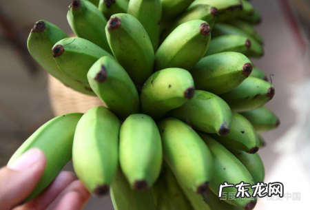 青香蕉怎样快速变黄变软,香蕉怎样催熟快