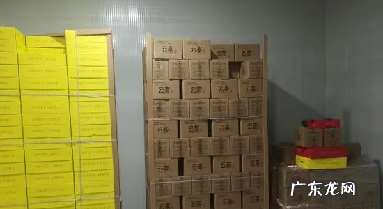 白萝卜常温下怎么保存,白萝卜保存新鲜的方法