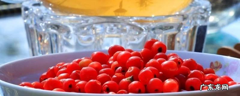 红豆杉泡酒是用什么泡 红豆杉泡酒的正确方法