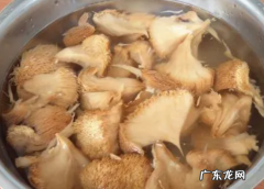 猴头菇要泡多久,干猴头菇一般泡多久样算泡好